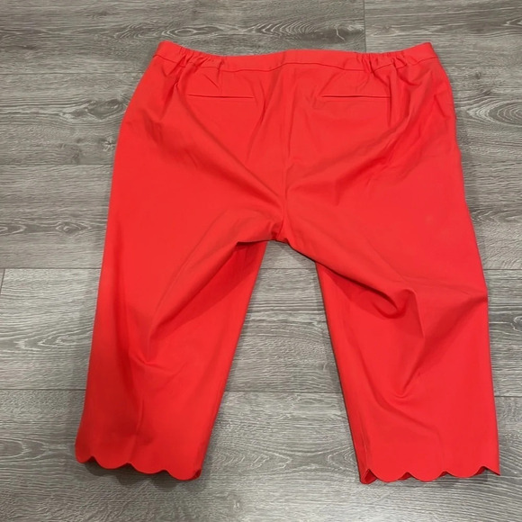 Talbots Slim Crop Scalloped Hem 22WP - Picture 15 of 15